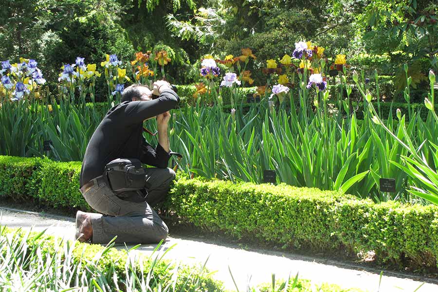 real Jardín Botánico de Madrid