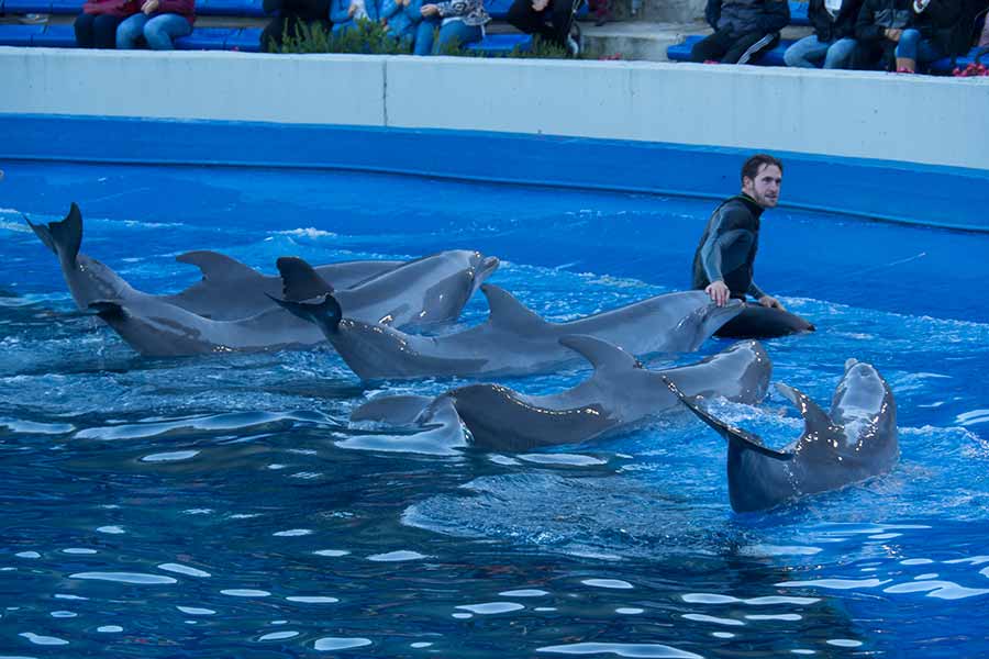 Zoo Aquarium de Madrid